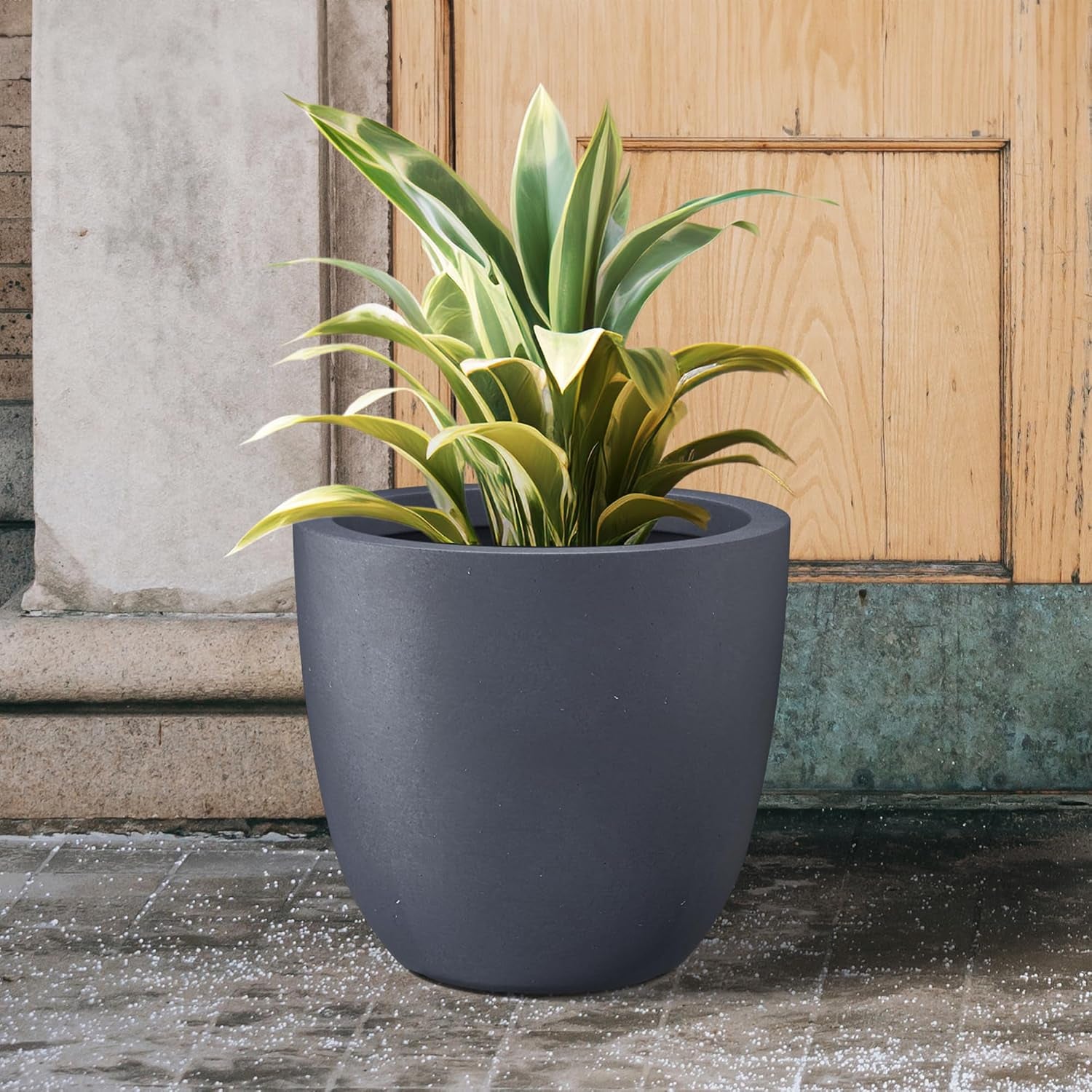 18 Inch Dia round Concrete Planter, Indoor Outdoor Large Plant Pot with Drainage Hole and Rubber Plug for Home Patio Garden, Charcoal & Supermoss (26911) Spanish Moss Dried, Natural, 8 Ounces