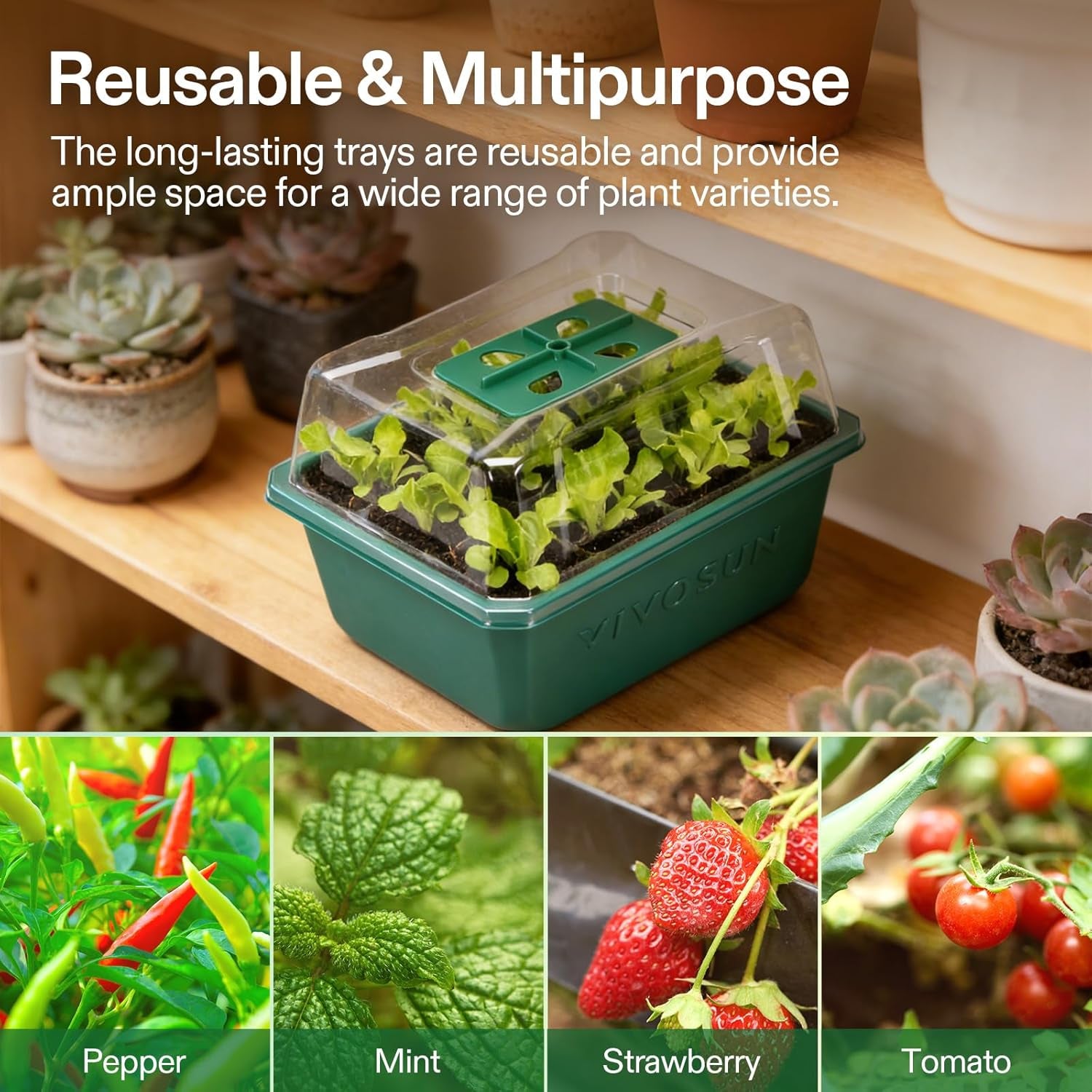 6-Pack Seed Starter Trays, 72-Cell Seed Starter Kit with Humidity Dome, Flat Reusable Plant Germination Trays with Drain Hole, Green Propagation Tray for Planting Seeds